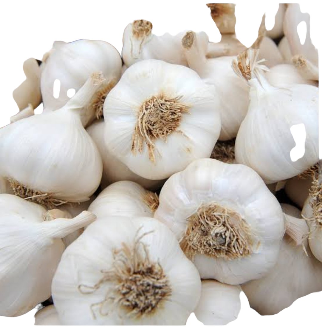 Fresh Garlic